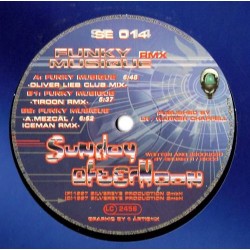 Sunday Afternoon ‎– Funky Musique (Rmx) 