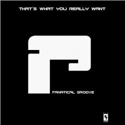 Fanatical Groove ‎– That's What You Really Want 