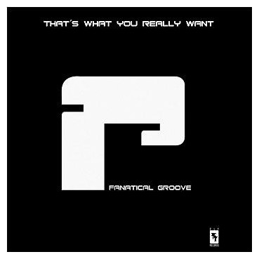 Fanatical Groove ‎– That's What You Really Want 