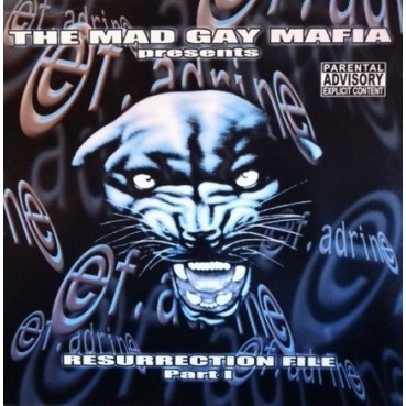 Mad Gay Mafia ‎– Resurrection File Part I