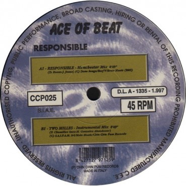 Ace Of Beat - Responsible (TEMAZO MUY BUSCADO¡¡)