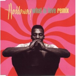Haddaway ‎– What Is Love (Remix) 