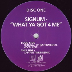 Signum - What Ya Got 4 Me?