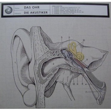Die Akustiker ‎– Das Ohr 