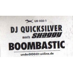 DJ Quicksilver Meets Shaggy  - Boombastic