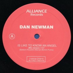 Dan Newman ‎– Is Like To Know An Angel 