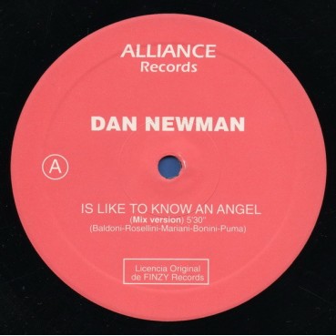 Dan Newman ‎– Is Like To Know An Angel 