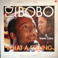 DJ BoBo & Irene Cara ‎– What A Feeling