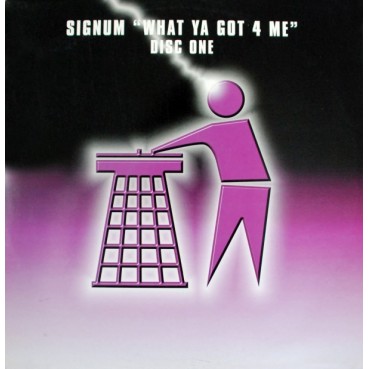 Signum - What Ya Got 4 Me (TIDY TRAX)