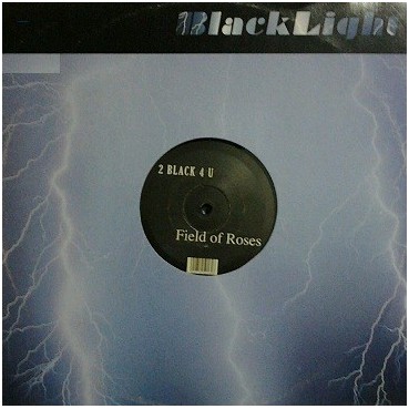 2 Black 4 U ‎– Field Of Roses