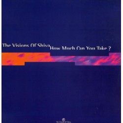 The Visions Of Shiva ‎– How Much Can You Take