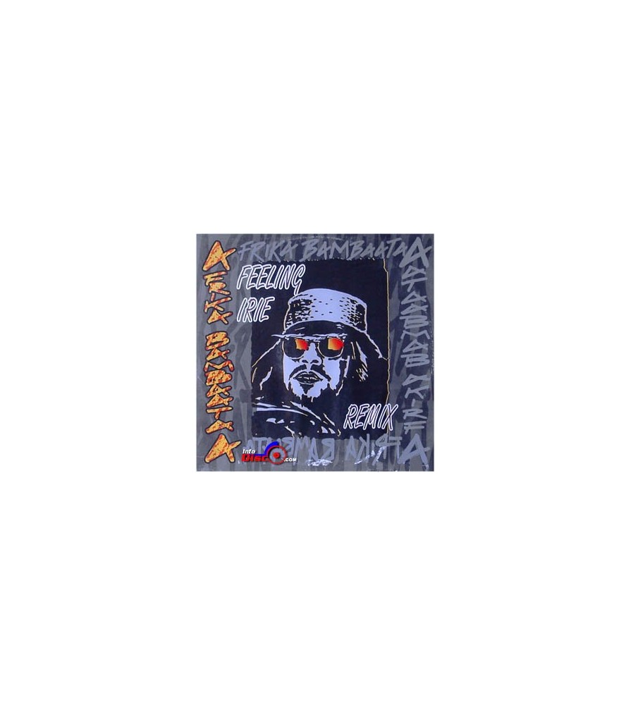 Afrika Bambaataa ‎– Feeling Irie (Remix) 