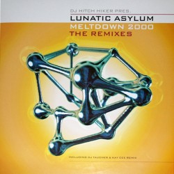  DJ Hitch Hiker Pres. Lunatic Asylum ‎– Meltdown 2000 - The Remixes 