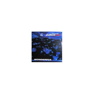 Jaccot vs Julius MC - Wonderful (REEDICIÓN)