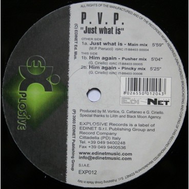 PVP ‎– Just What Is