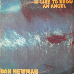 Dan Newman ‎– Is Like To Know An Angel 