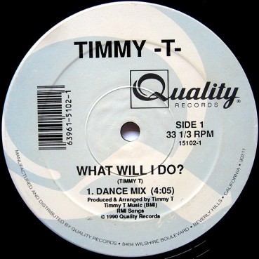 Timmy -T - What Will I Do