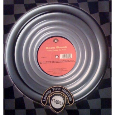 Basic Bunch ‎– How Does It Feel