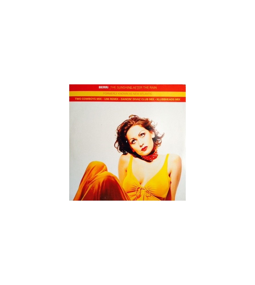 BERRi ‎– The Sunshine After The Rain