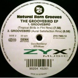 Natural Born Grooves - The Groovebird EP (ZYX MUSIC)
