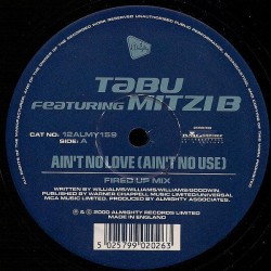 Tabu Featuring Mitzi B ‎– Ain't No Love