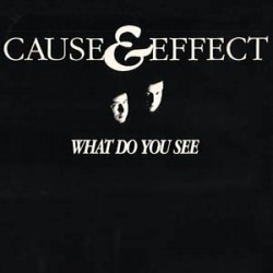 Cause & Effect ‎– What Do You See