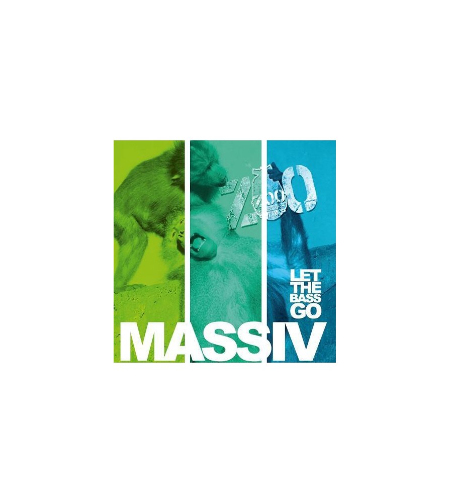 Massiv ‎– Let The Bass Go 