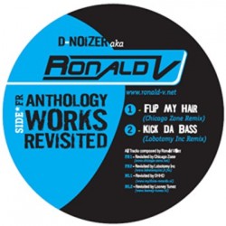 D-Noizer aka Ronald V ‎– Anthology Works Revisited 