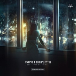 Promo & Tha Playah Feat. Snowflake ‎– Open (Upside Down)