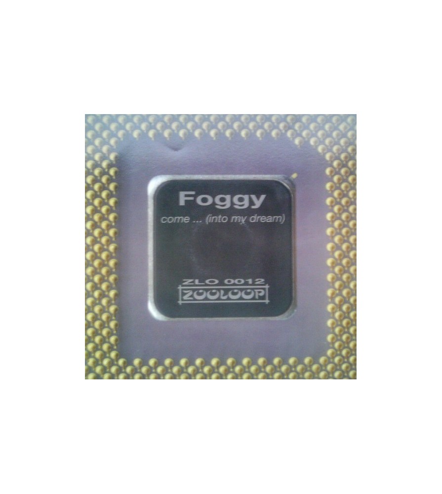 Foggy ‎– Come Into My Dream (ZOOLOOP)