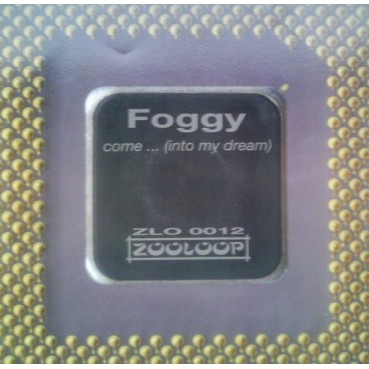 Foggy ‎– Come Into My Dream (ZOOLOOP)