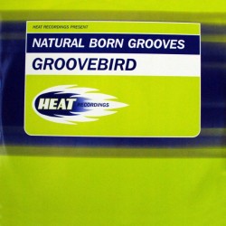 Natural Born Grooves ‎– Groovebird 