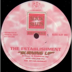 The Establishment ‎– Burning Up