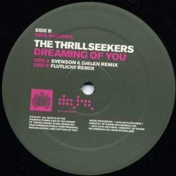 The Thrillseekers ‎– Dreaming Of You (Svenson & Gielen + Flutlicht Remix)