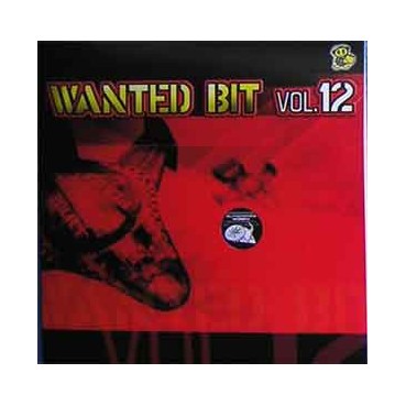 Wanted Bit Vol. 12 