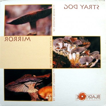 Stray Dog ‎– Mirror (TEMAZO SIGNUM¡¡)