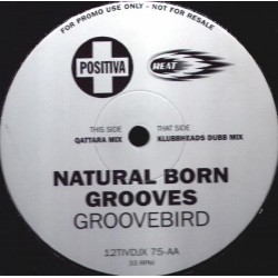 Natural Born Grooves - Groovebird (Klubbheads remix)