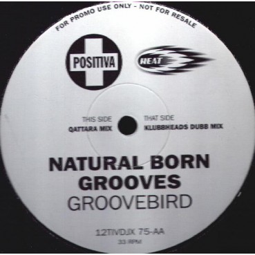 Natural Born Grooves - Groovebird (Klubbheads remix)