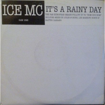  ICE MC ‎– It's A Rainy Day