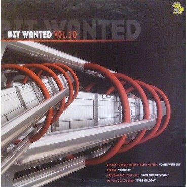 Wanted Bit Vol. 10 