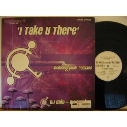 DJ Milo meets DJ Rayden ‎– I Take U There 