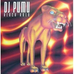 DJ Pumu ‎– Black Hole 