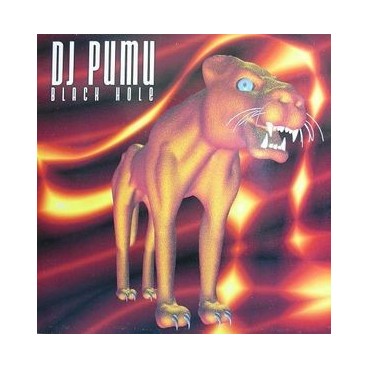 DJ Pumu ‎– Black Hole 