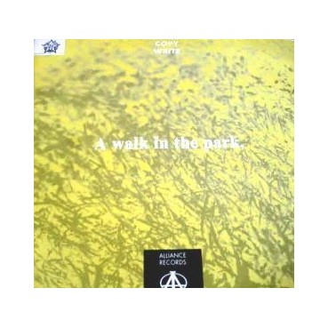 Copy-Write ‎– A Walk In The Park 