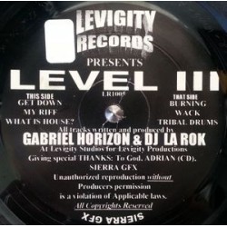 Gabriel Horizon & DJ La Rok ‎– Level III 