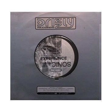Sonic Experience ‎– Love Is The Power
