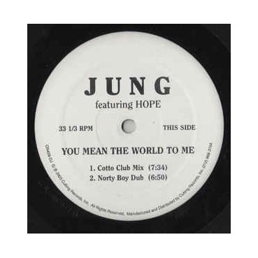 Jung – You Mean The World To Me