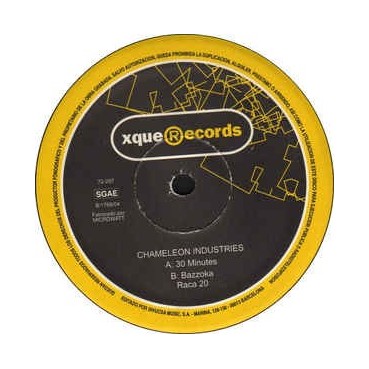 Chameleon Industries ‎– 30 Minutes 