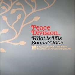 Peace Division ‎– What Is This Sound 2005 