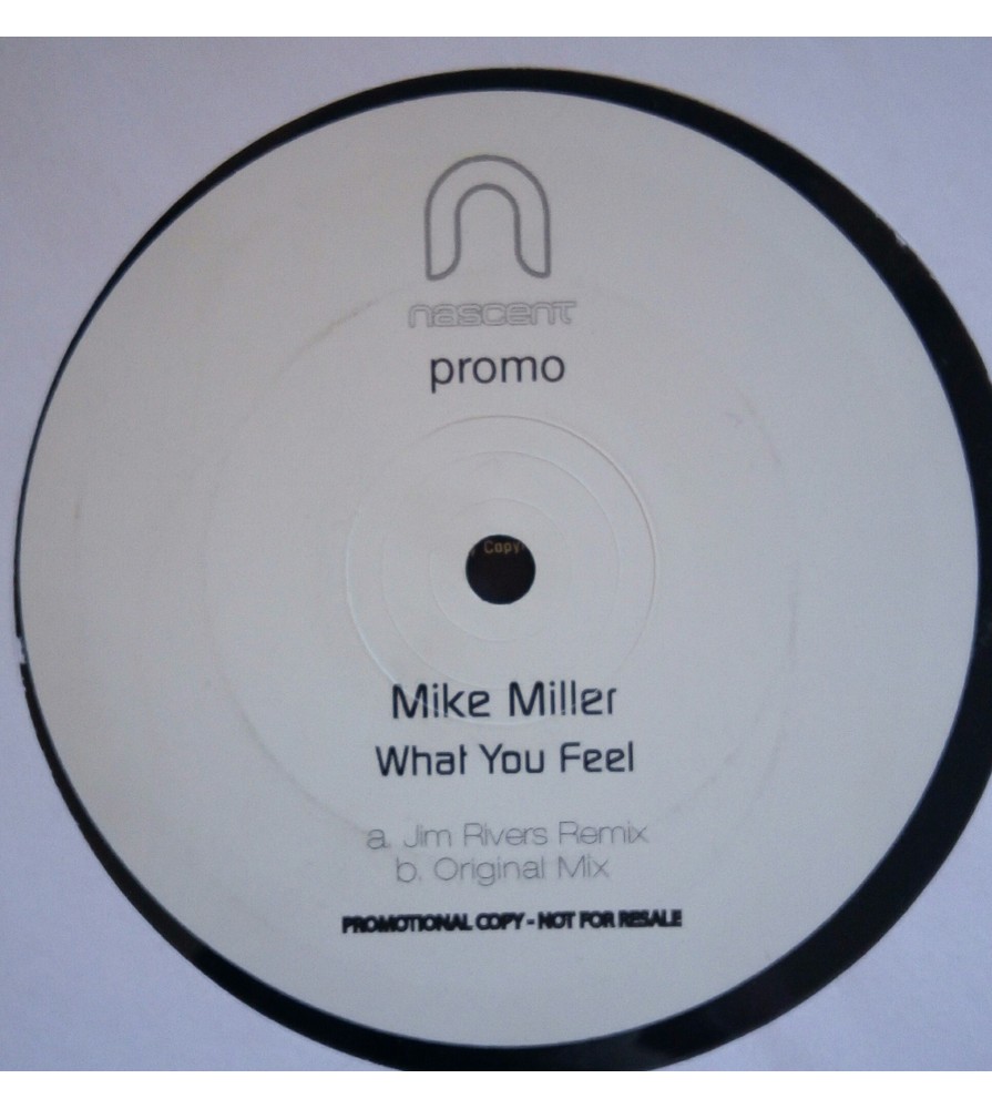 Mike Miller ‎– What U Feel (SONIDO REVIVAL)